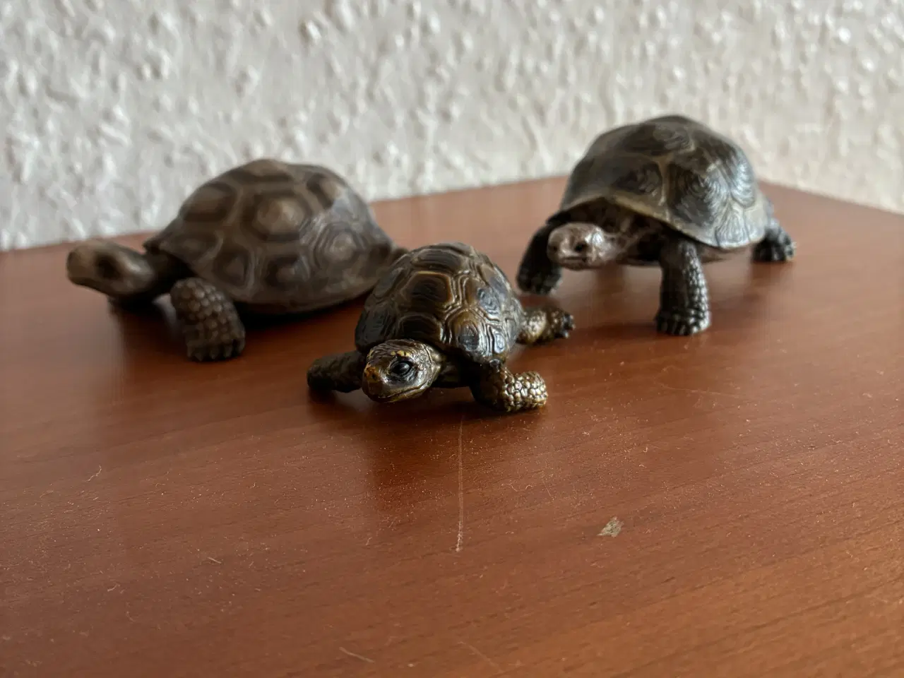 Billede 3 - Forskellige dyrearter 