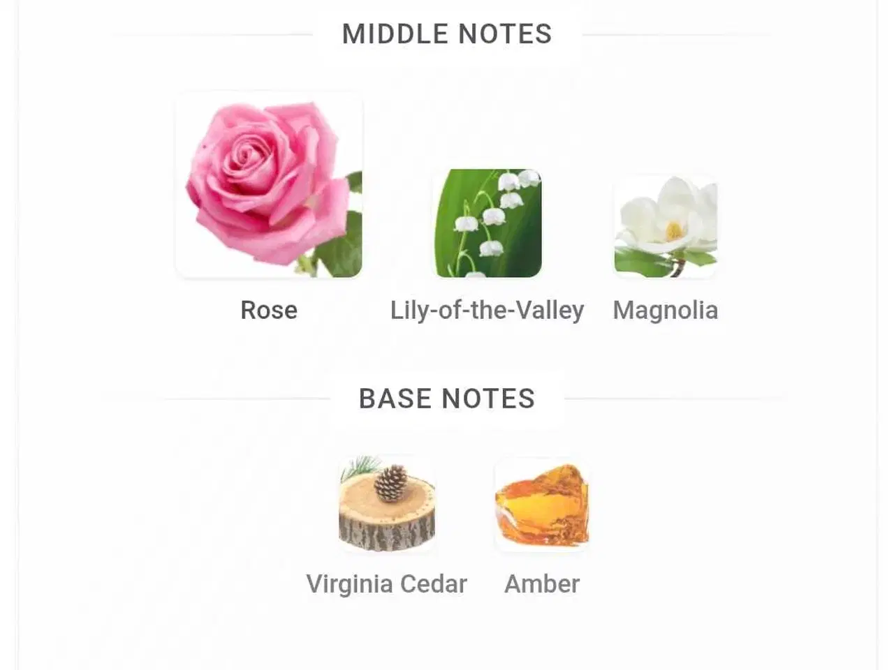 Billede 3 - Chloé eau de parfum - Chloé - 5 ml.