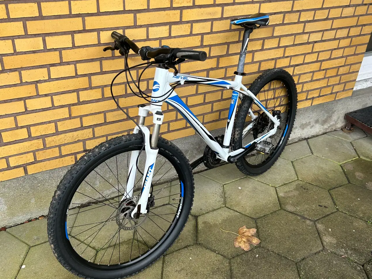 Billede 9 - Giant mountainbike