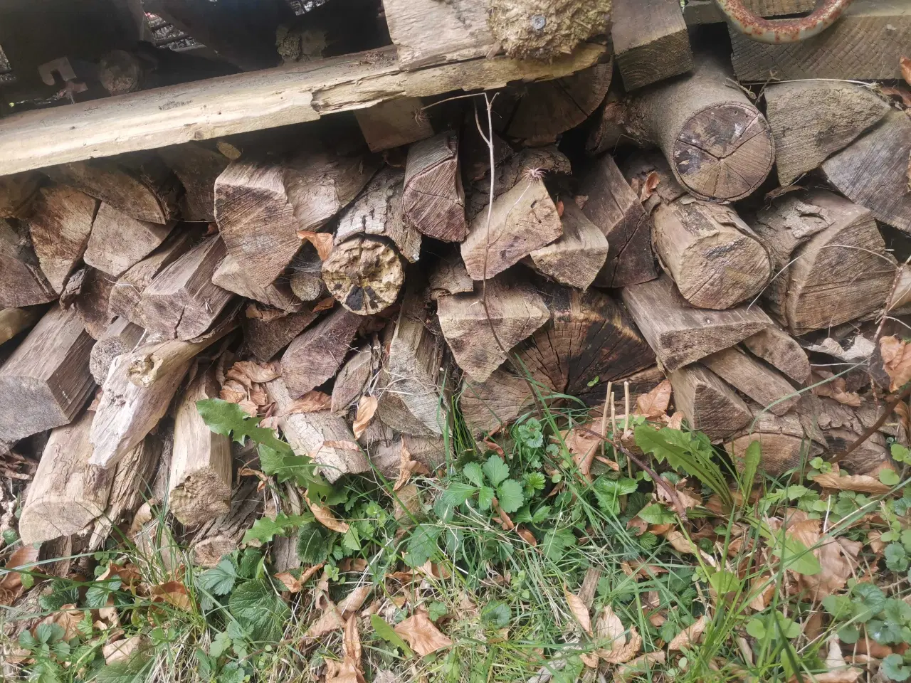 Billede 3 - En Brænde stak 30 kr ialt🌸 