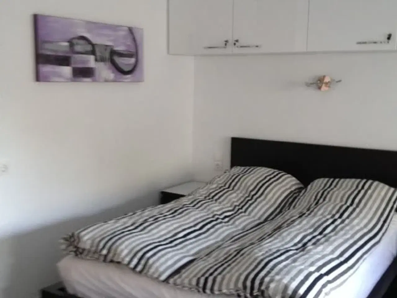 Billede 4 - Total renoveret byens bedste beliggenhed i ALCUDIA p� MALLORCA
ligger ud til Dollar Street som er �genavnet p� Avenida Pedro Mas i Reus, en gade der l�ber vinkelret p� havnen i Alc�dia.