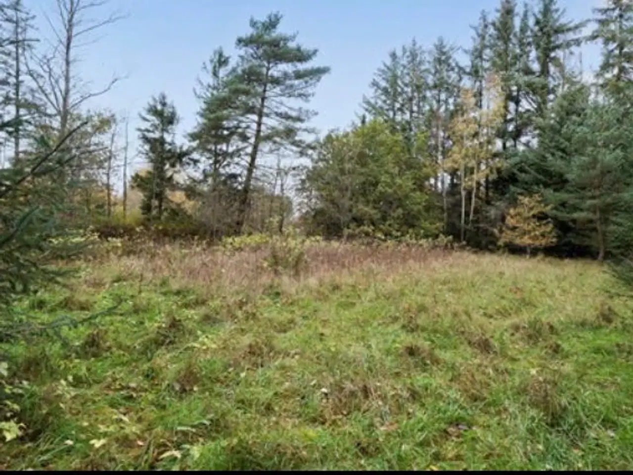 Billede 1 - Byggegrund i Hals