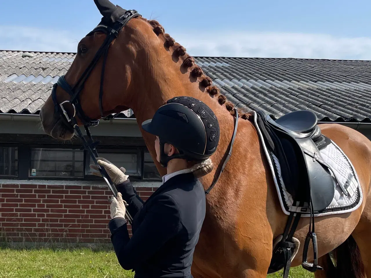 Billede 2 - Rød palomino hoppe 