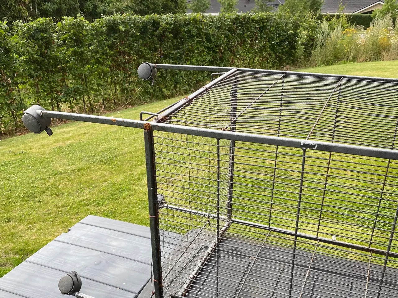 Billede 2 - Fugle bur til salge