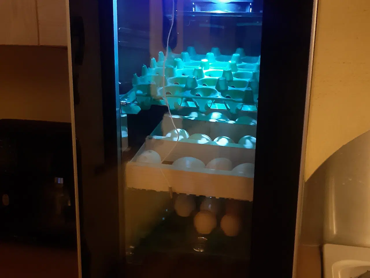 Billede 3 - Rugemaskine