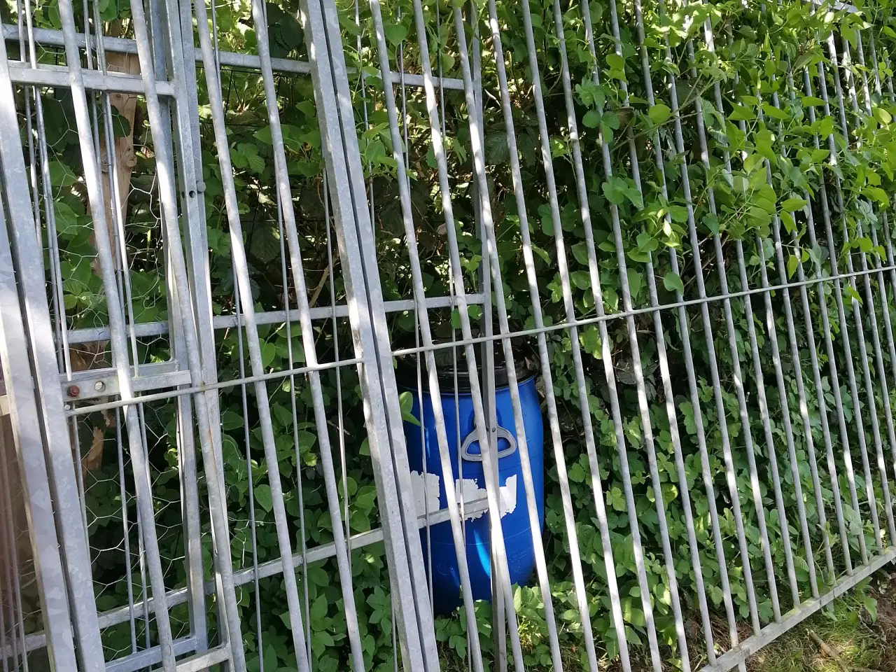 Billede 1 - Hundegård