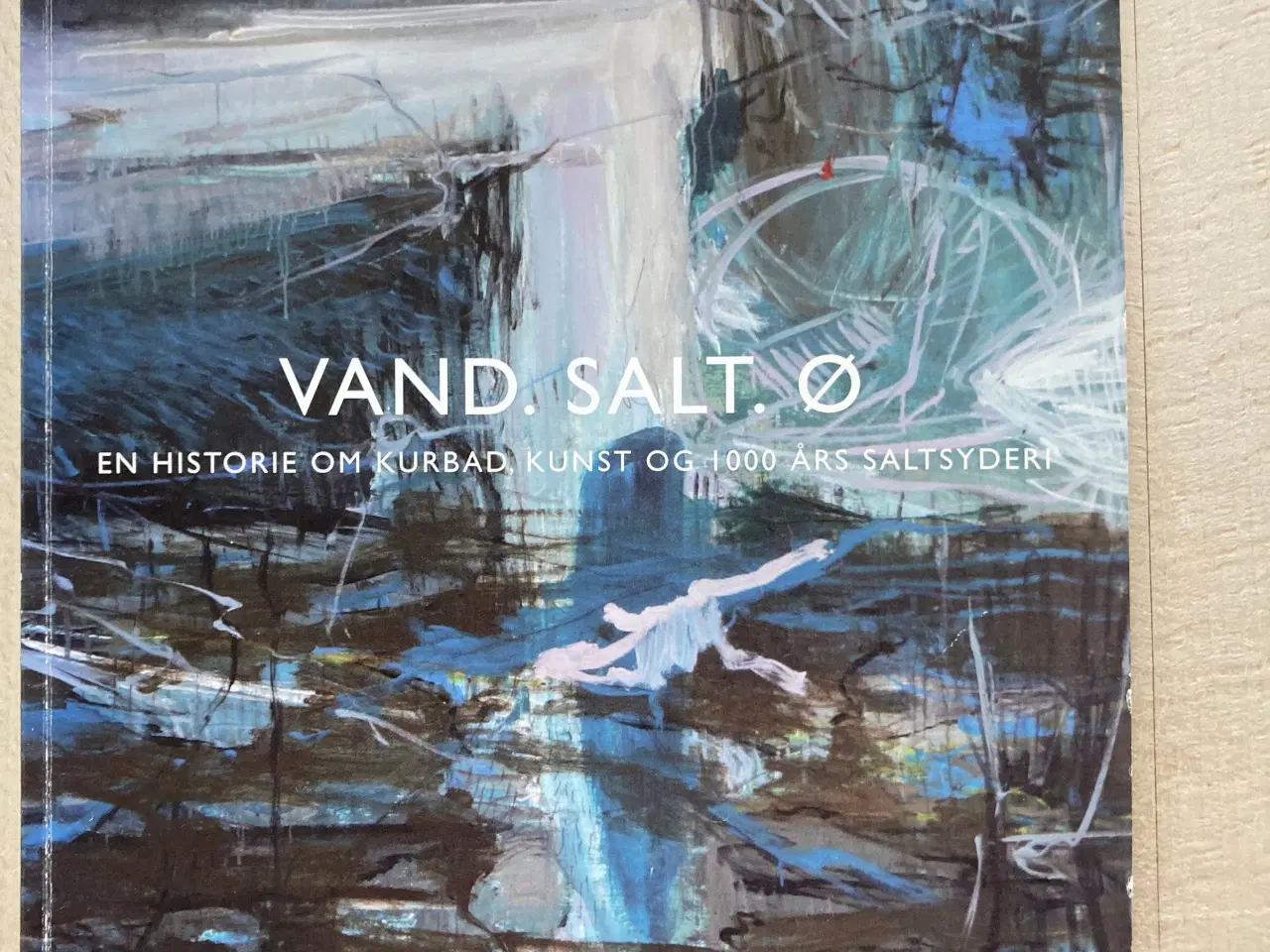 Billede 1 - Vand, salt, ø: en historie om kurbad, kunst og 100