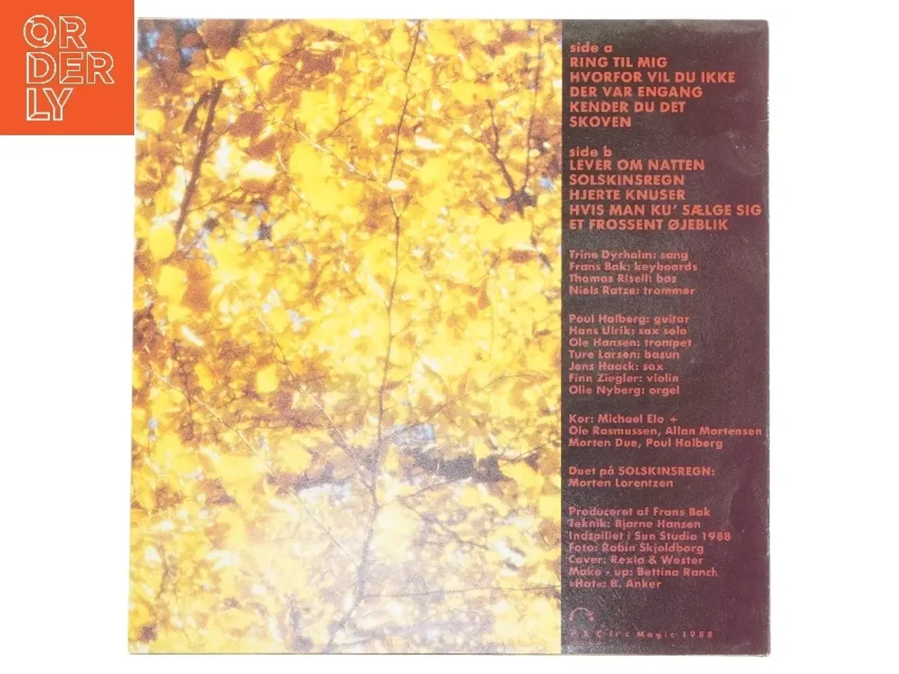 Billede 2 - Trine Dyrholm - Et Frossent Øjeblik LP