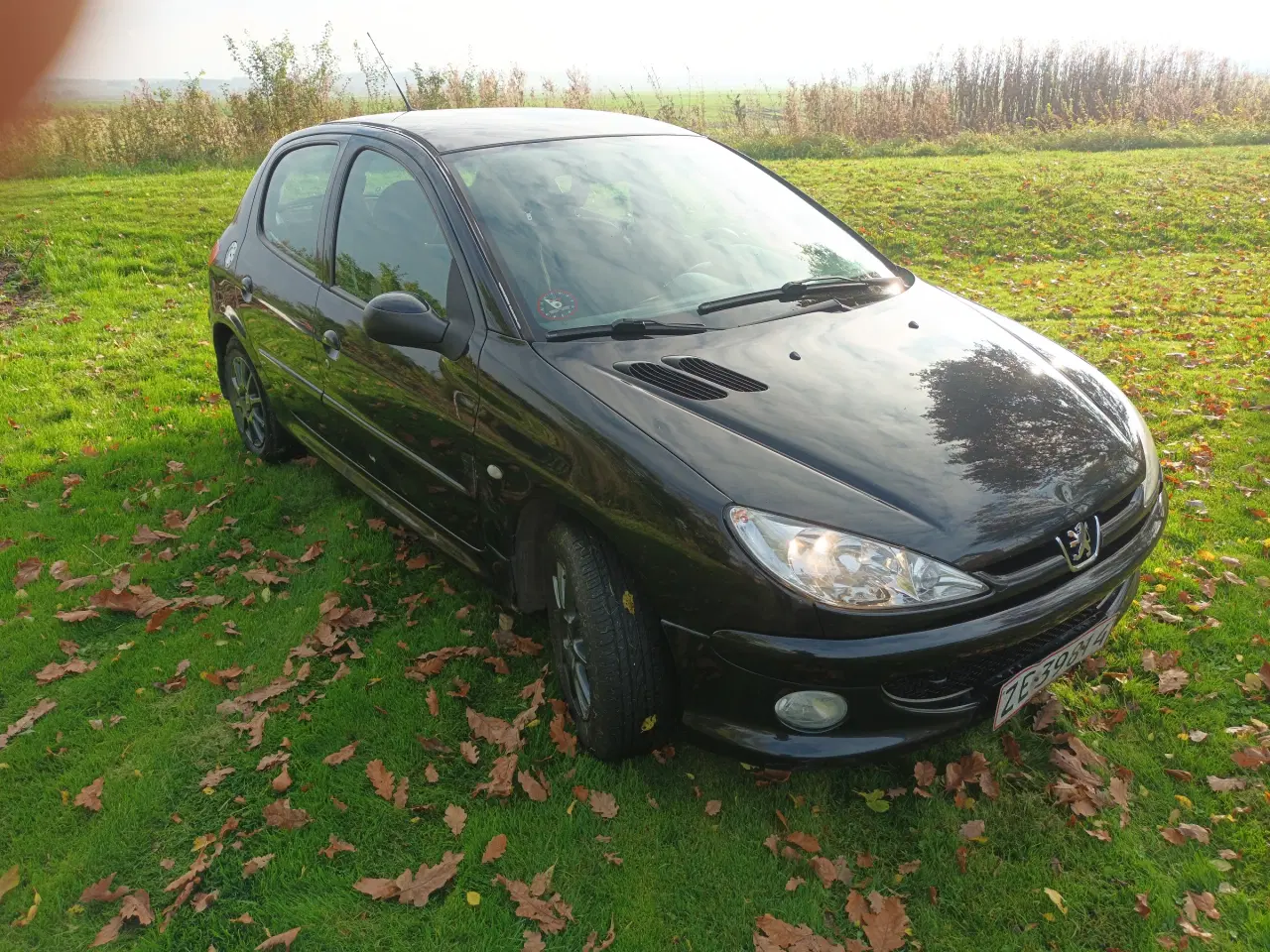 Billede 7 - Peugeot 206