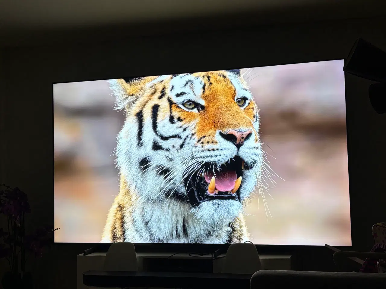 Billede 4 - Samsung 98” TV 