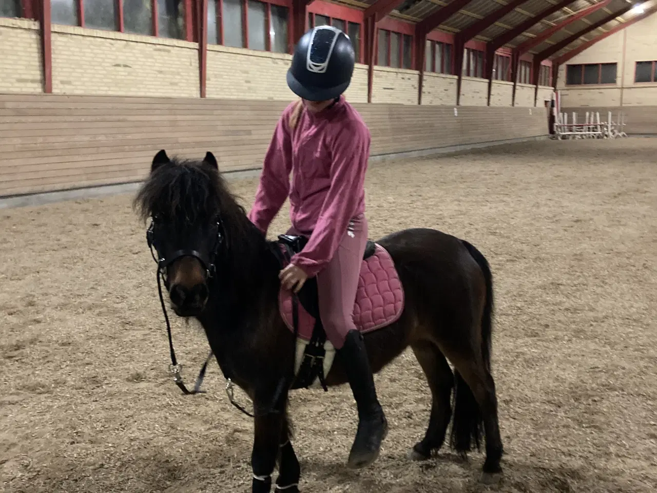 Billede 16 - Sødeste miniature pony sælges/byttes