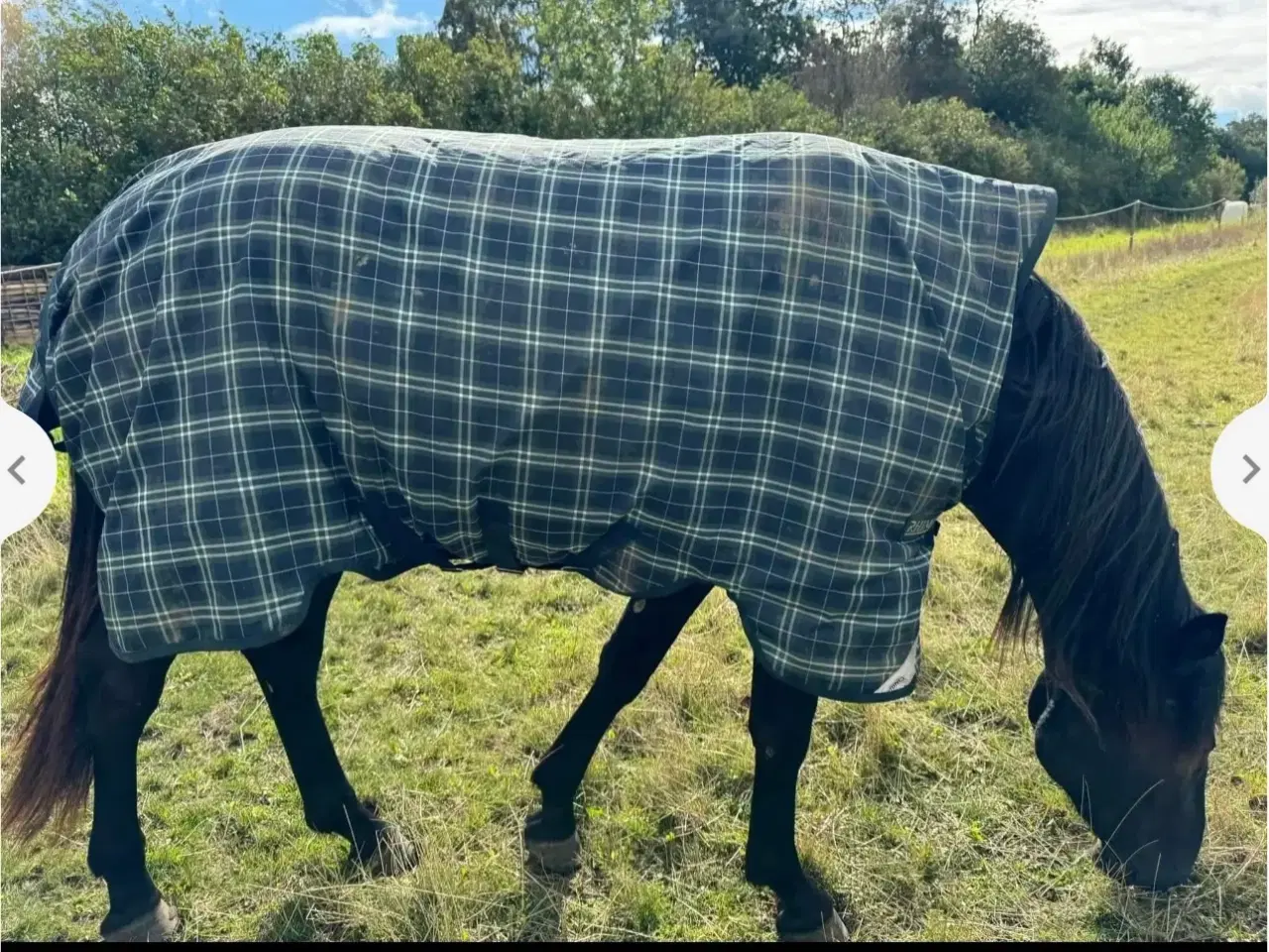 Billede 1 - Horseware Heino wug dækken str 145