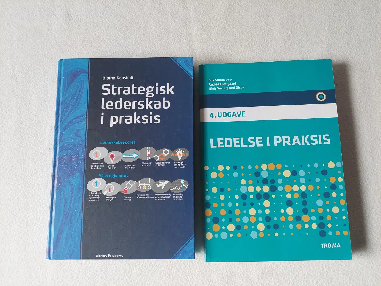 Billede 1 - Strategisk Ledelse og Ledelse i praksis