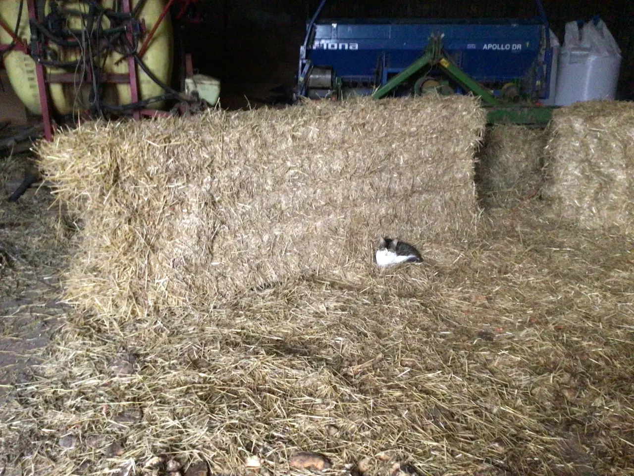 Billede 1 - Prima byg halm 