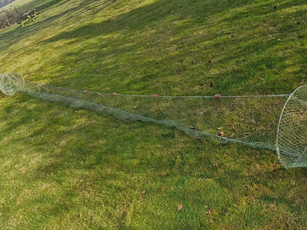 Billede 1 - Dobbelt åleruse