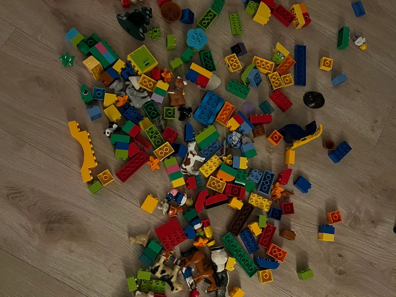 Billede 3 - Sofia slot, Minnes fødselsdag og klodser