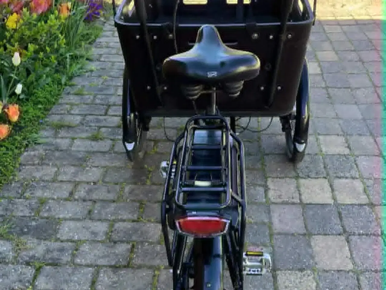 Billede 3 - SMUK EL SCO