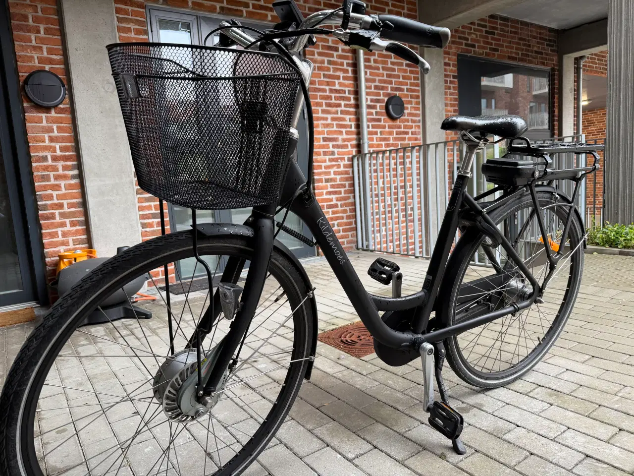 Billede 1 - El cykel dame