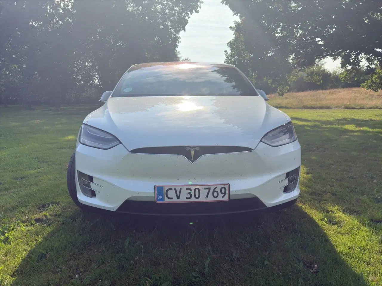 Billede 3 - Tesla Model X  Long Range AWD