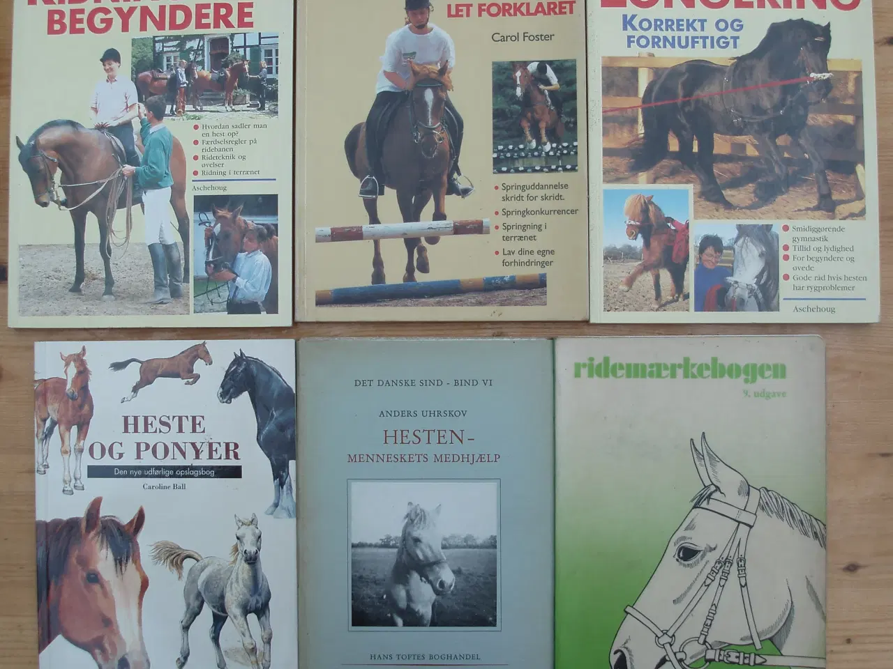 Billede 1 - Heste; diverse paperback bøger