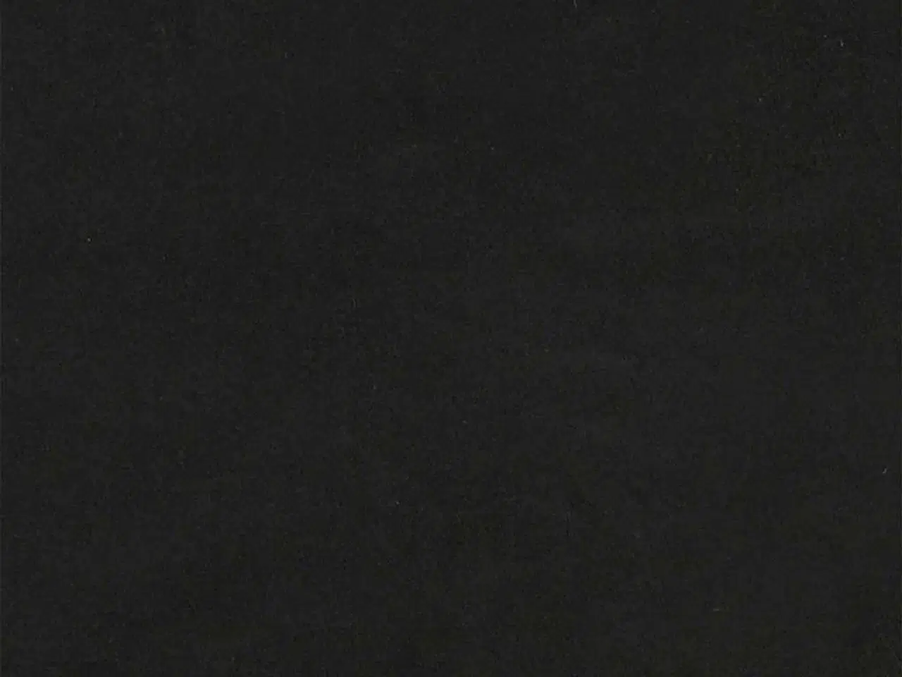 Billede 10 - Rygpude Sort 120 x 24 x 50 cm Fløjl