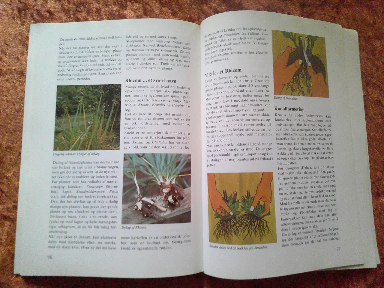 Billede 3 - Havebogen, Bent Klougart,