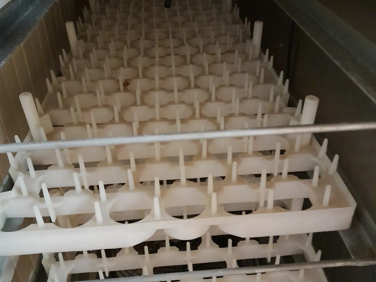 Billede 7 - rugemaskine med integreret klækker