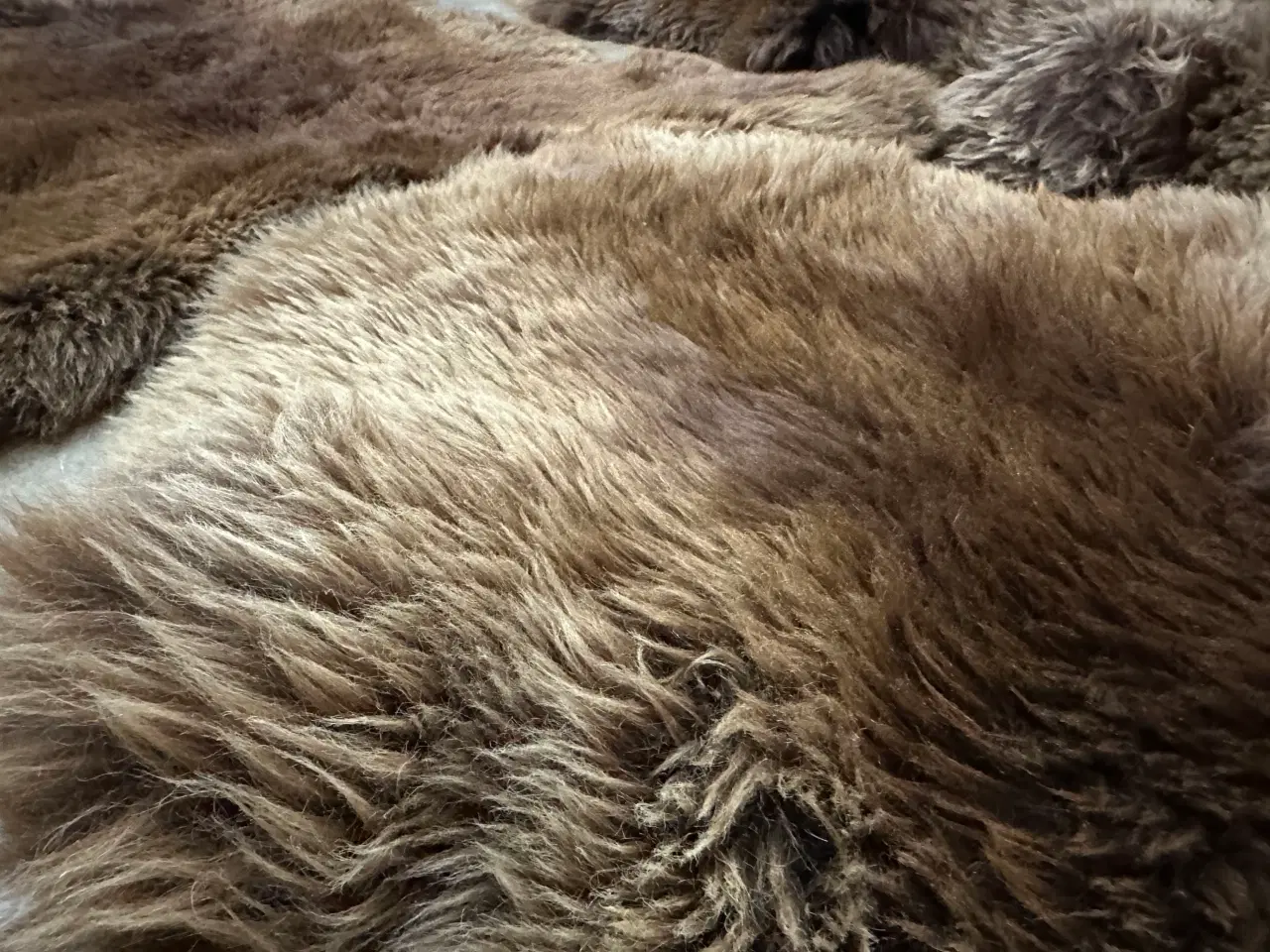 Billede 2 - 4 stk. langhårede brune lammeskind