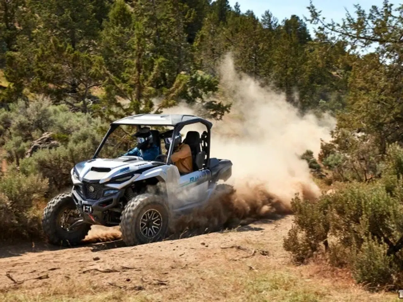 Billede 2 - Yamaha Wolverine RMAX2 1000 LE