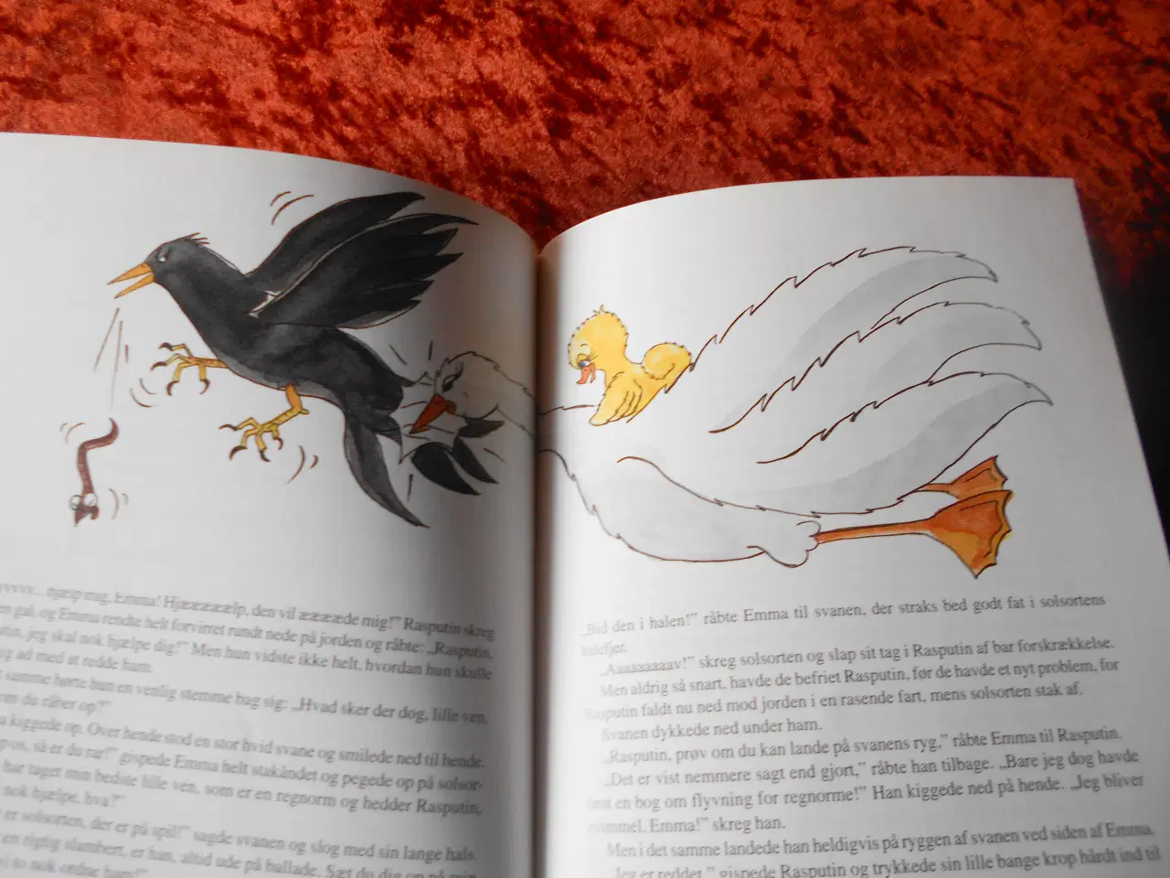 Billede 3 - Ællingen Emma, Anne Skarbye