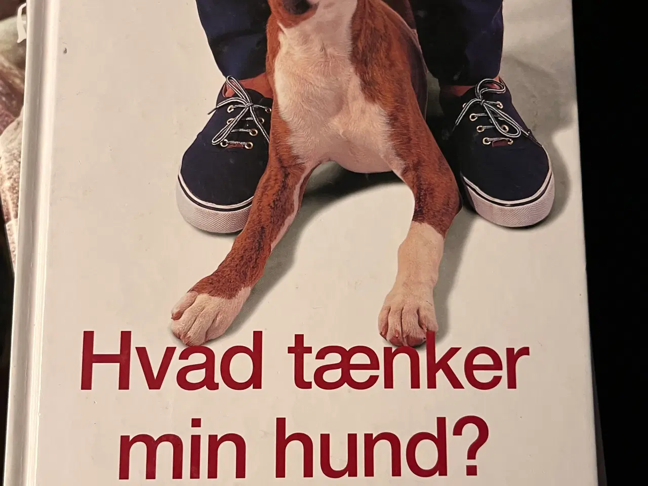 Billede 5 - Hundetræning, adfærd og viden om hunde
