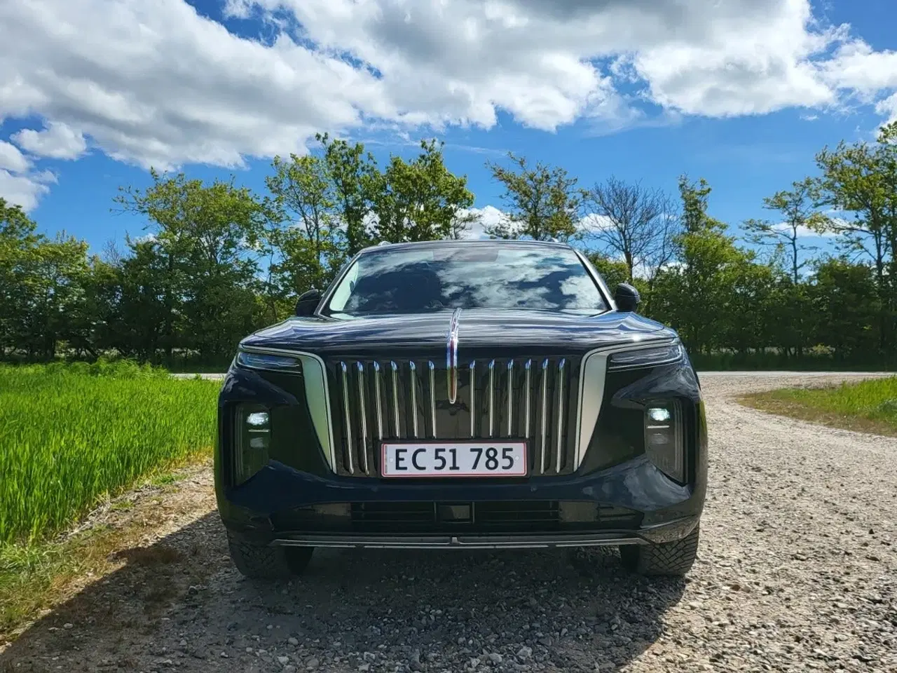 Billede 2 - Hongqi E-HS9 99 Premium Black Edition