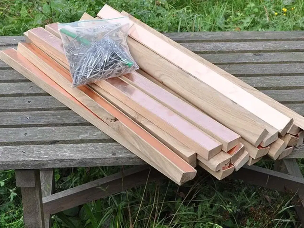 Billede 2 - Sneglehegn med effektgaranti !!