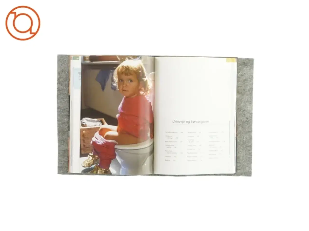 Billede 3 - Barnets sygdomme (bog)