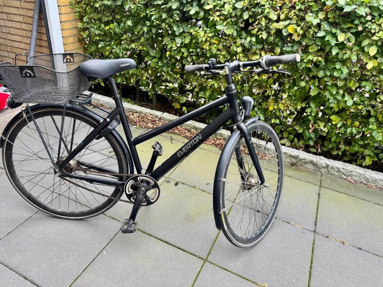 Billede 1 - DAMECYKEL