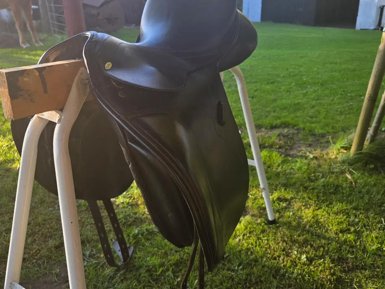 Billede 5 - Kentaur Elektra Dressursadel 17"