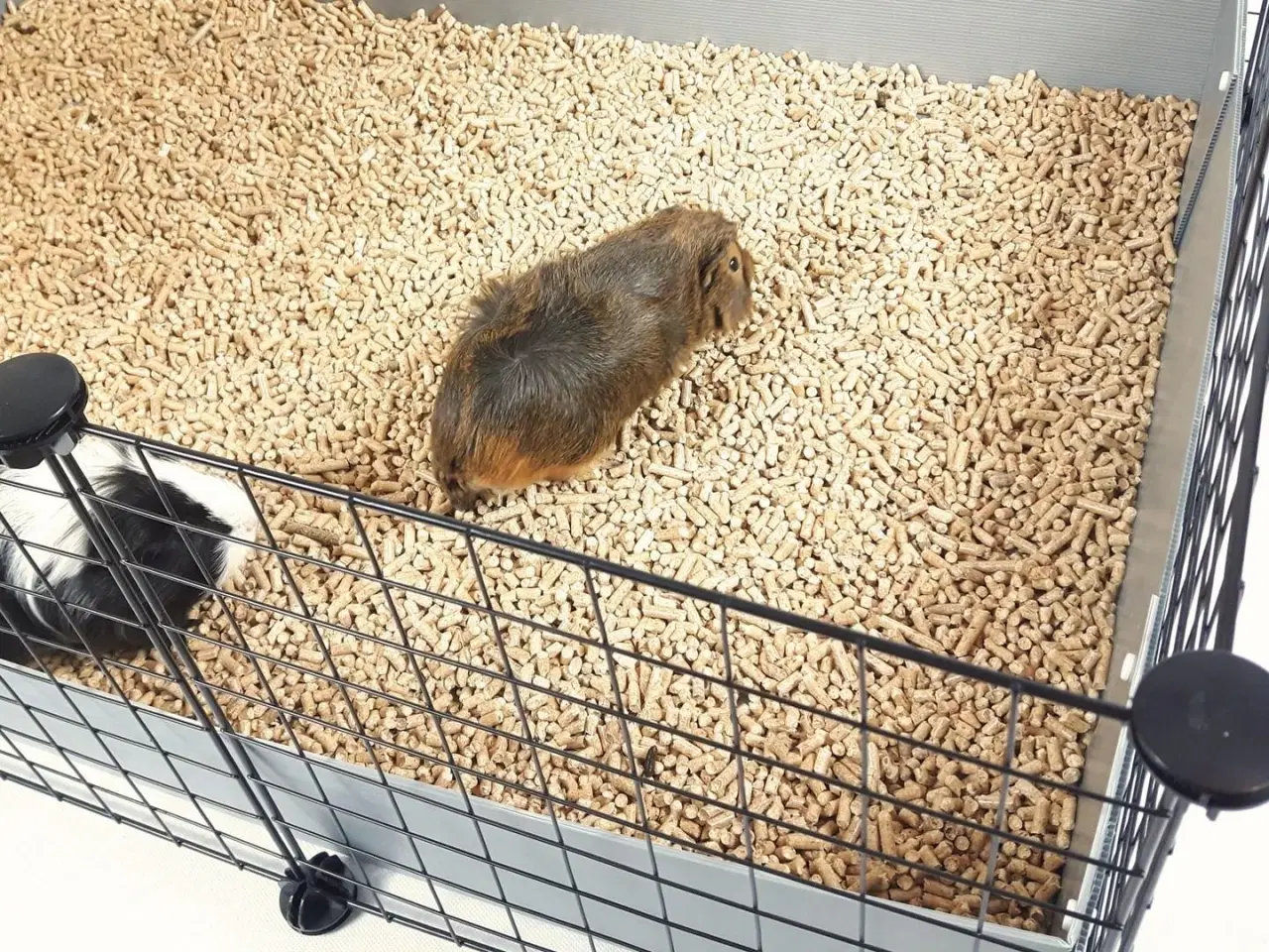 Billede 3 - Marsvinebur C&C modulbur 4x2 – 145 × 75 cm, sort