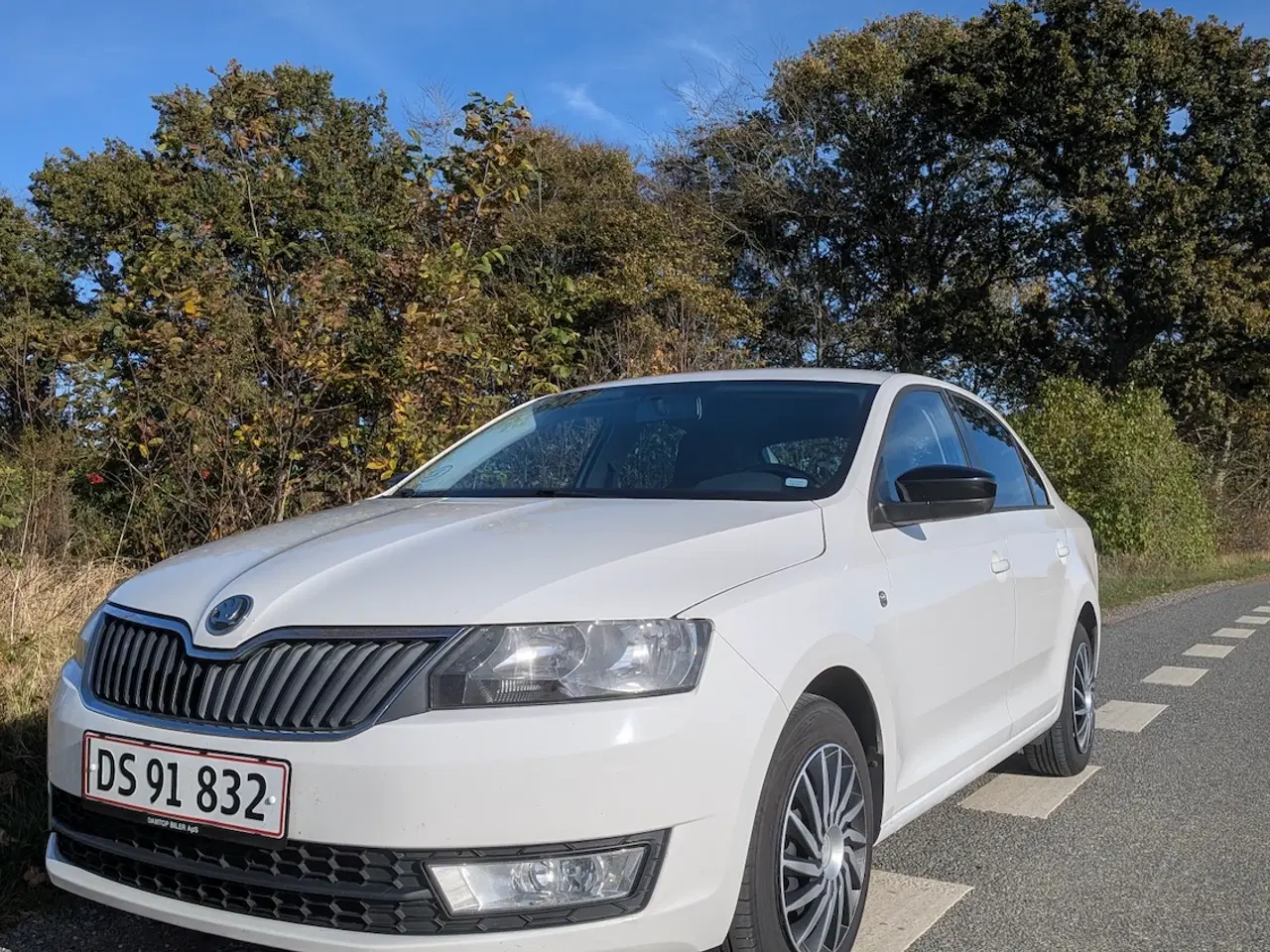 Billede 1 - NYSYNET! Skoda Rapid