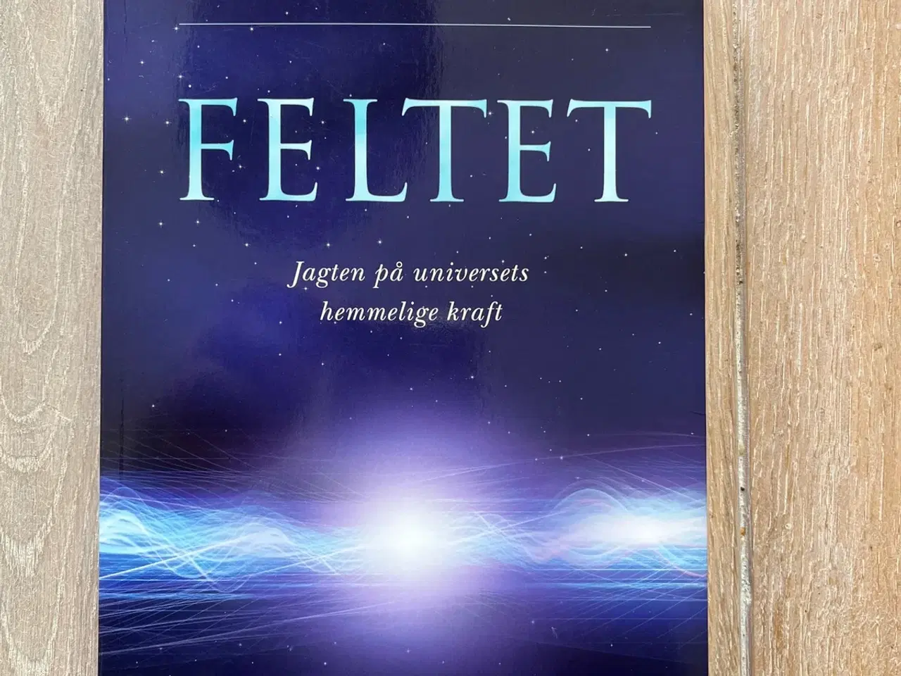 Billede 1 - Feltet