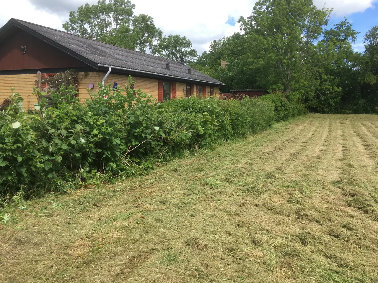 Billede 3 - Slagleklipper - Stiga årgang 2016