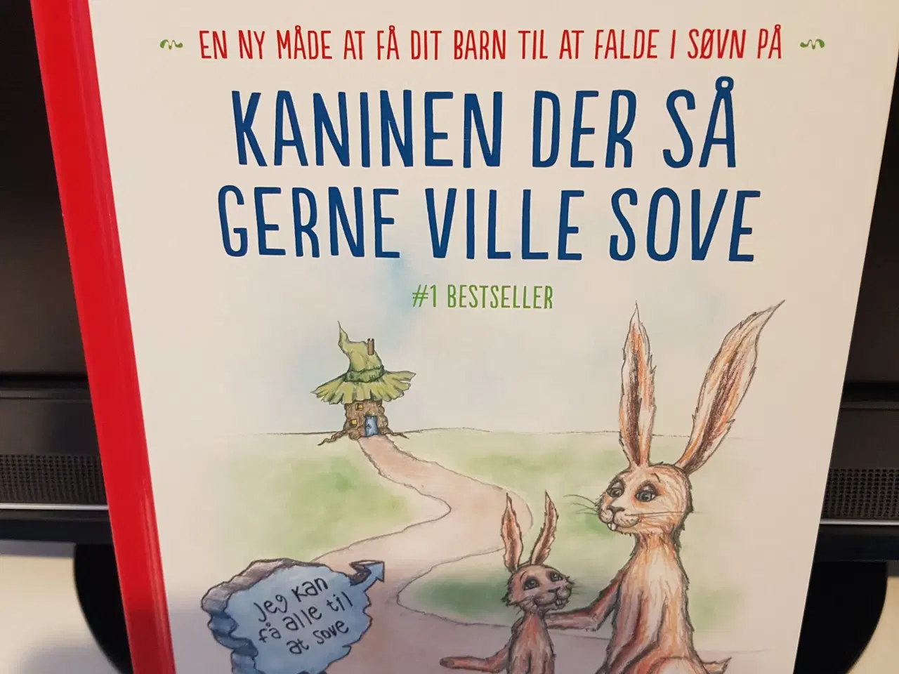 Billede 1 - Bog - Kaninen der så gerne ville sove