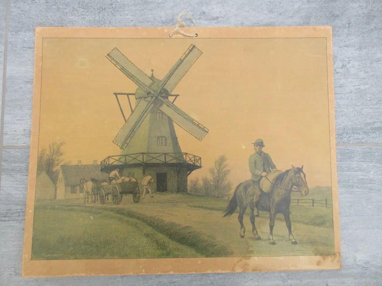 Billede 8 - Gamle anskuelighedstavler / anskuelsestavler 