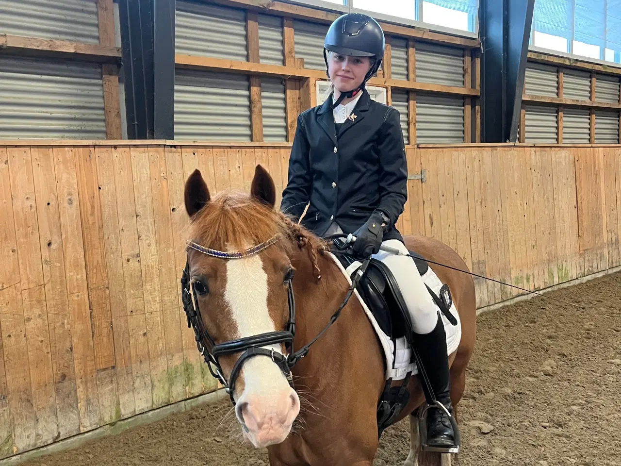 Billede 5 - Gribsvads Britney – Welsh pony