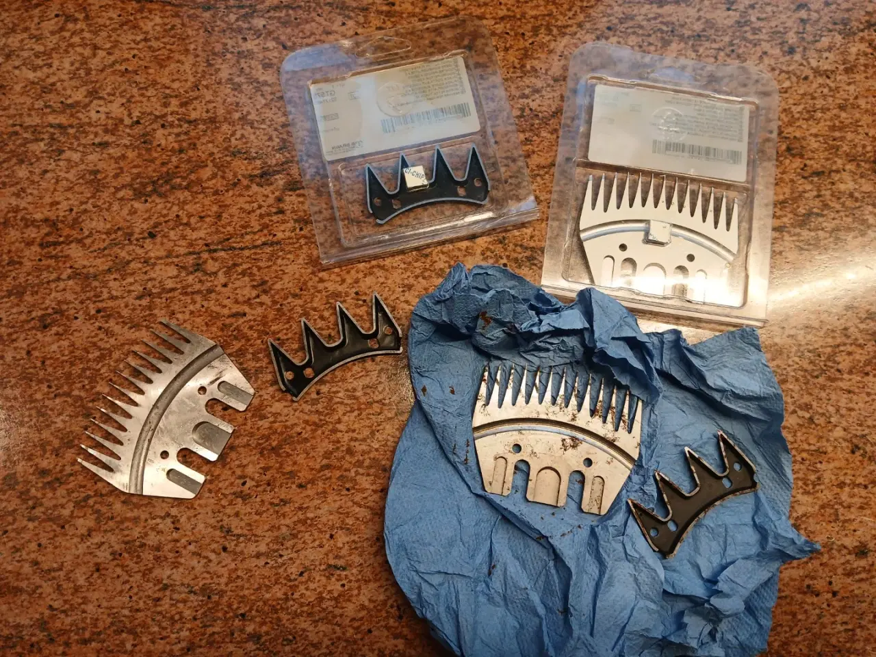 Billede 5 - Aesculap Econom2 elektrisk Fåreklipper m. Tilbehør