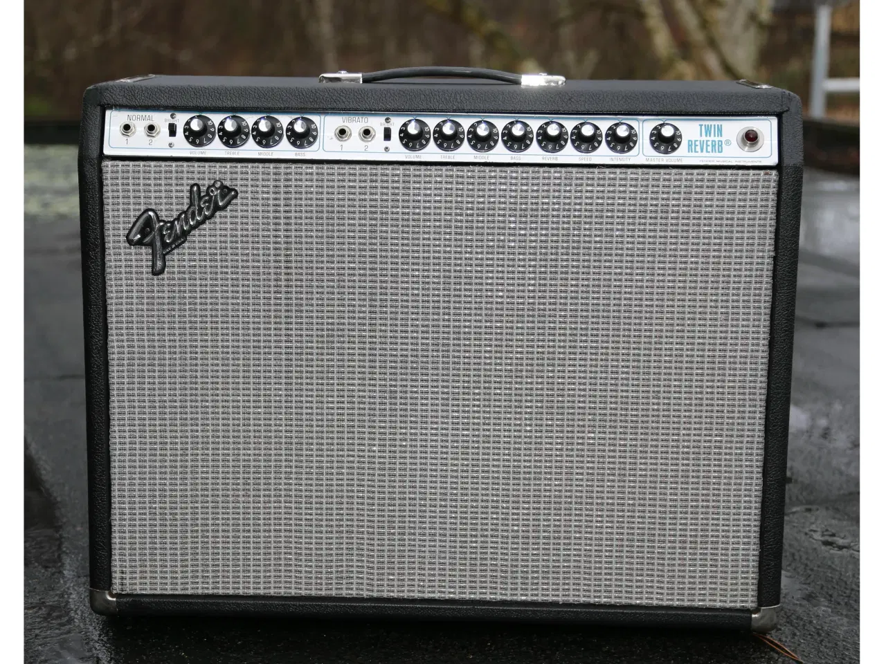 Billede 2 - Fender Twin ReVerb