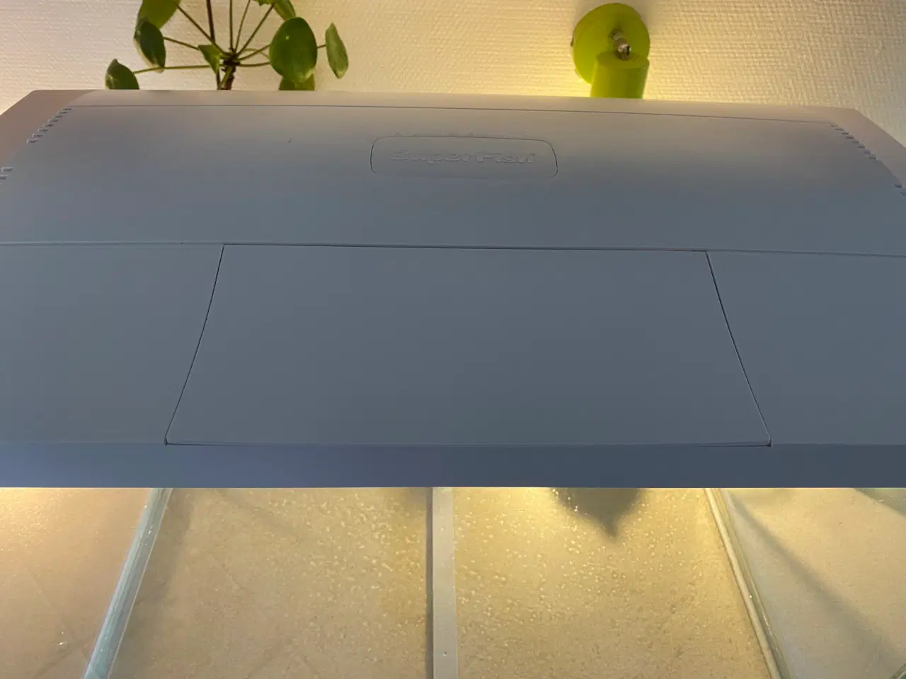 Billede 3 - Hvidt akvarium