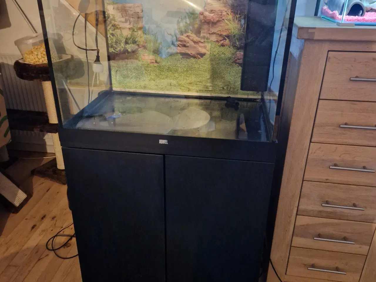 Billede 3 - Akvarium sælges mangel på tid