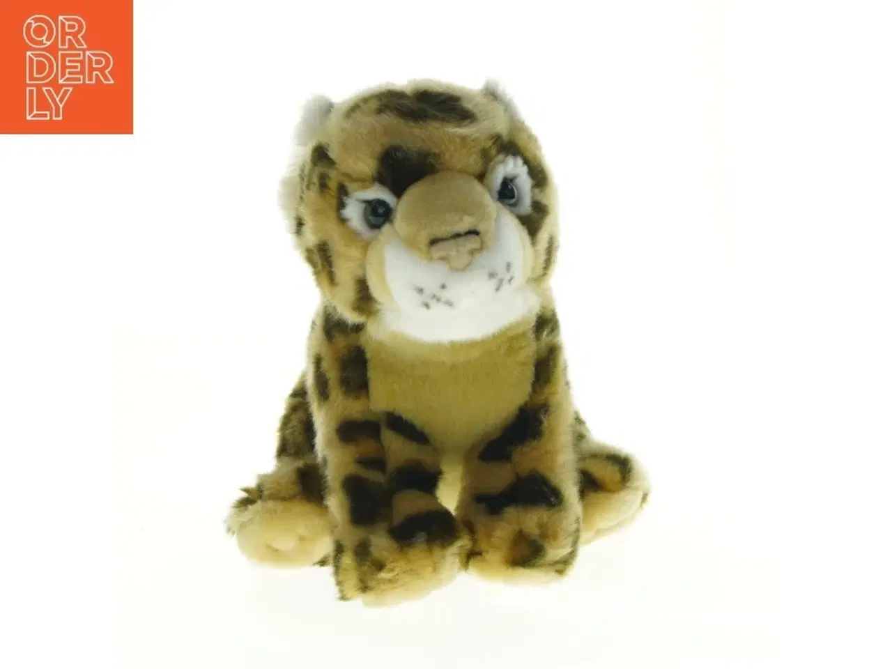Billede 1 - Tigerbamse fra Zoo København (str. 34 x 22 cm)