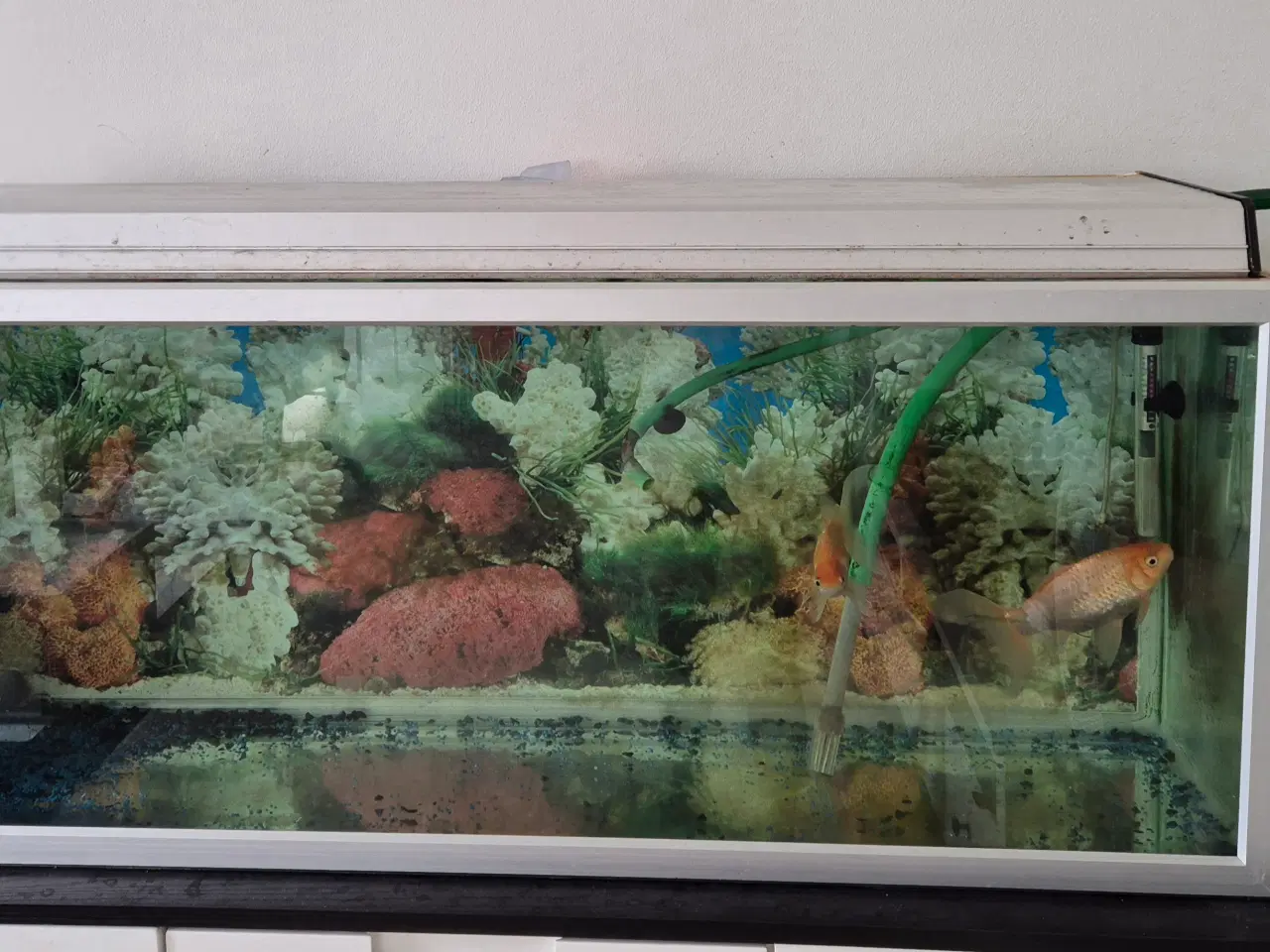 Billede 1 - Akvariet 200 liter