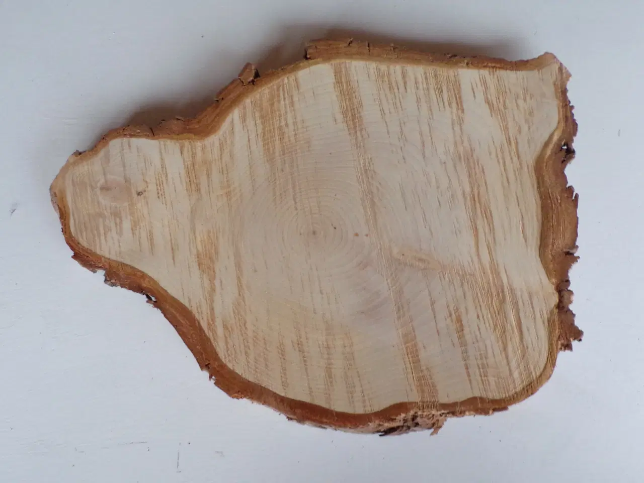 Billede 2 - NY Thuja Træskive med bark 36,5 lang cm - Til jul